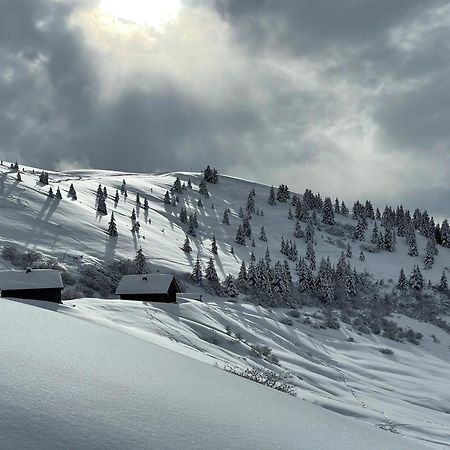 Chalet*** Au Pied D'Une Prairie Face A La Montagne Sixt Екстериор снимка