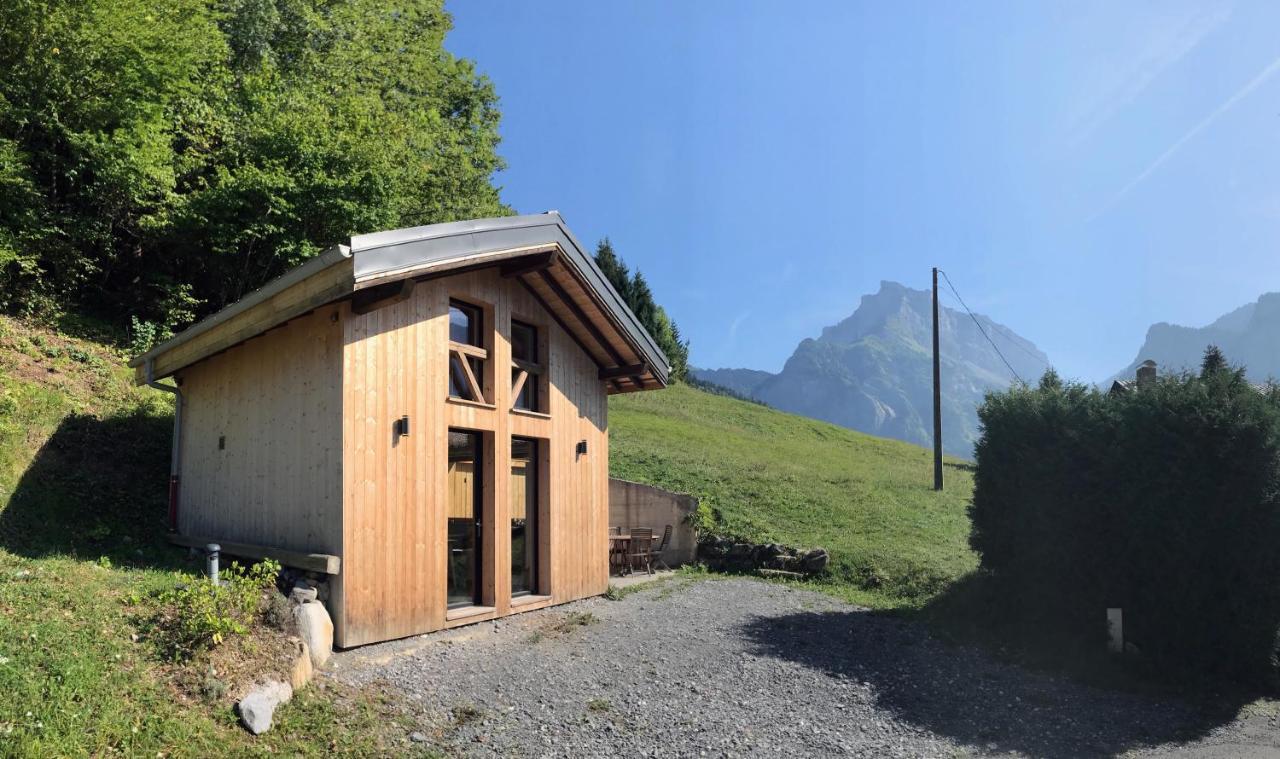 Chalet*** Au Pied D'Une Prairie Face A La Montagne Sixt Екстериор снимка