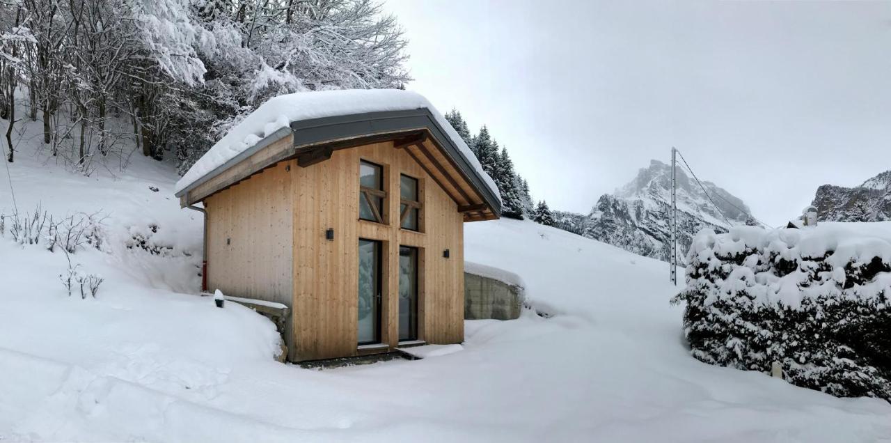 Chalet*** Au Pied D'Une Prairie Face A La Montagne Sixt Екстериор снимка