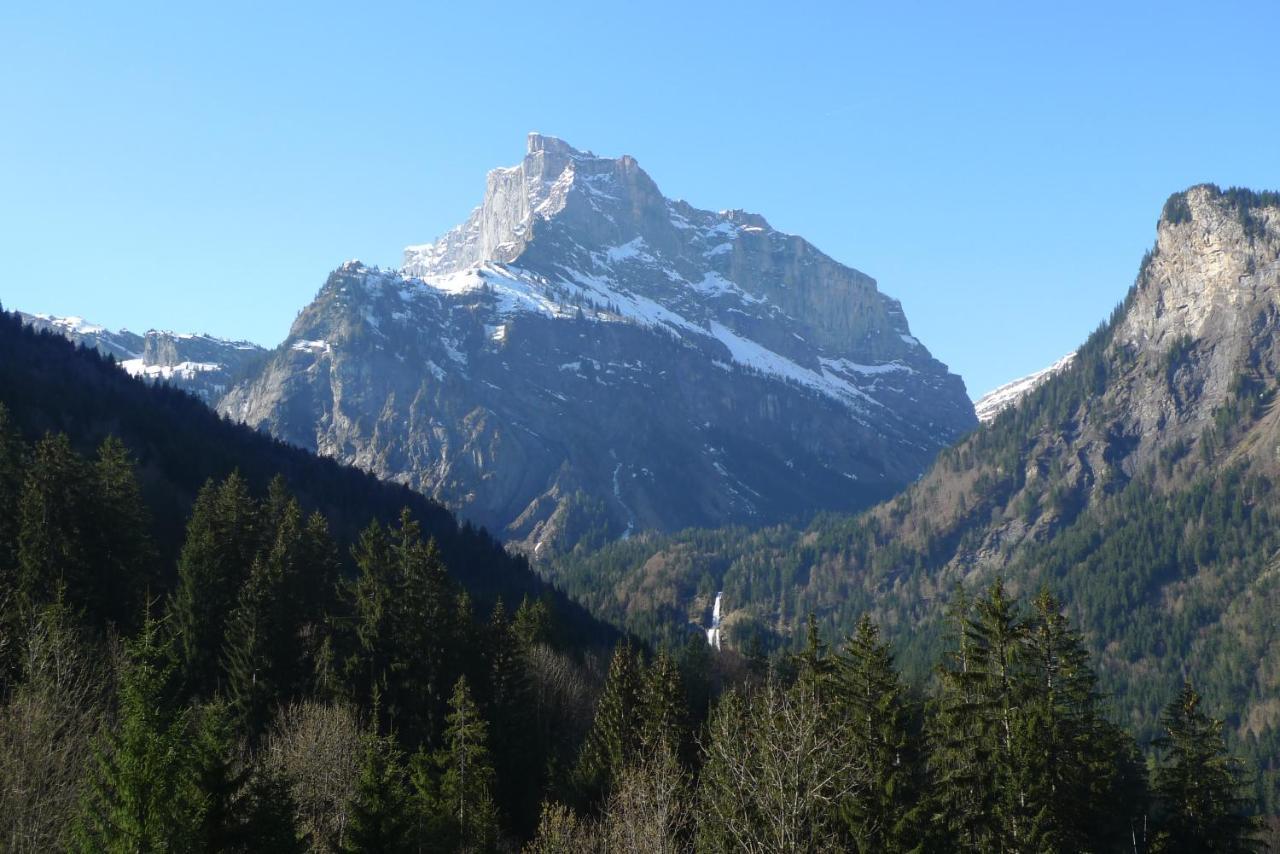 Chalet*** Au Pied D'Une Prairie Face A La Montagne Sixt Екстериор снимка