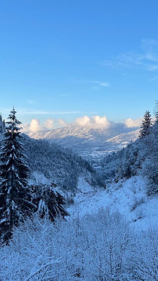 Chalet*** Au Pied D'Une Prairie Face A La Montagne Sixt Екстериор снимка