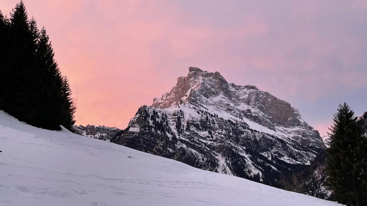 Chalet*** Au Pied D'Une Prairie Face A La Montagne Sixt Екстериор снимка