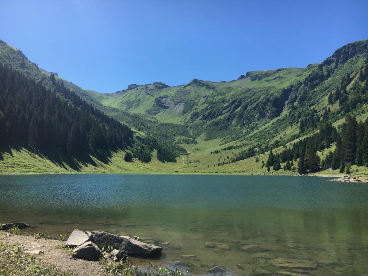 Chalet*** Au Pied D'Une Prairie Face A La Montagne Sixt Екстериор снимка