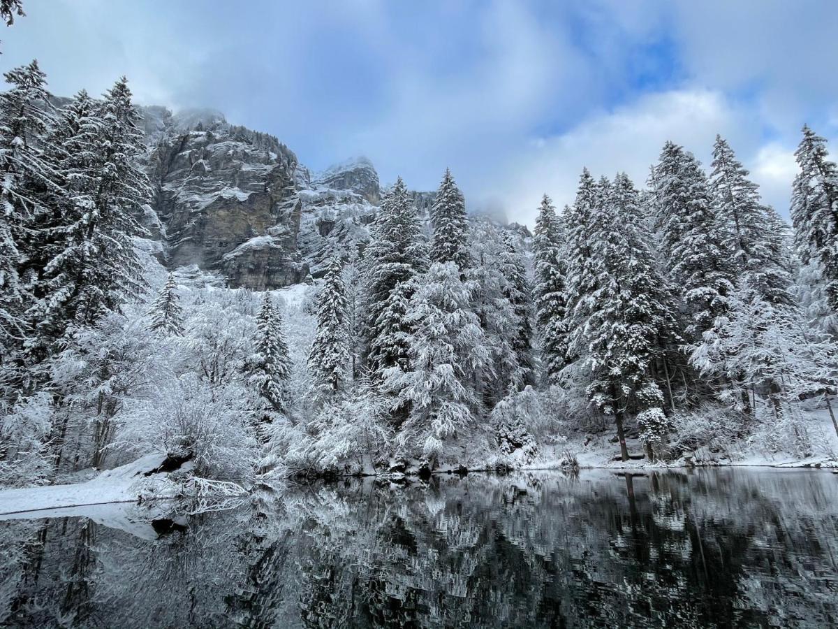 Chalet*** Au Pied D'Une Prairie Face A La Montagne Sixt Екстериор снимка