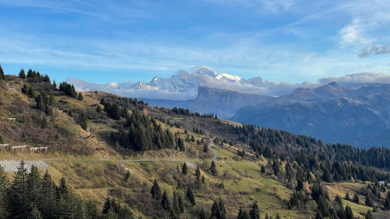 Chalet*** Au Pied D'Une Prairie Face A La Montagne Sixt Екстериор снимка