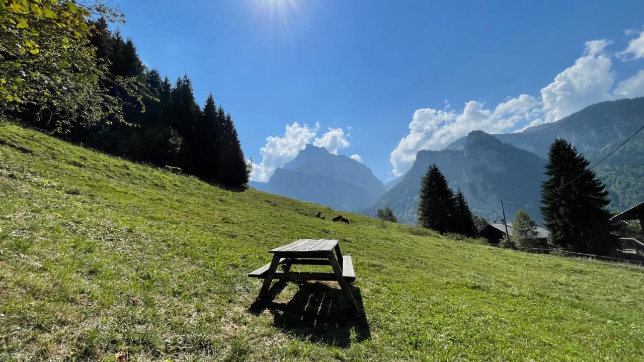 Chalet*** Au Pied D'Une Prairie Face A La Montagne Sixt Екстериор снимка