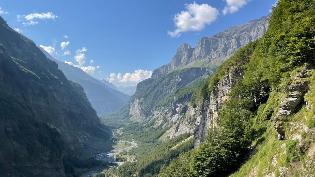 Chalet*** Au Pied D'Une Prairie Face A La Montagne Sixt Екстериор снимка