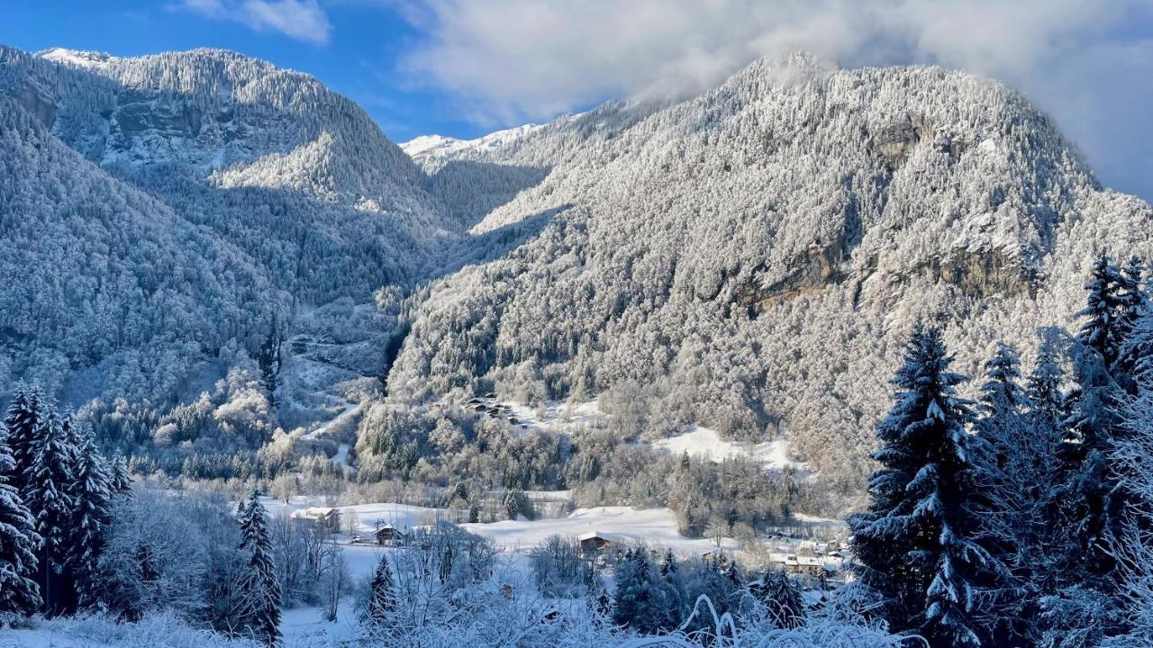 Chalet*** Au Pied D'Une Prairie Face A La Montagne Sixt Екстериор снимка