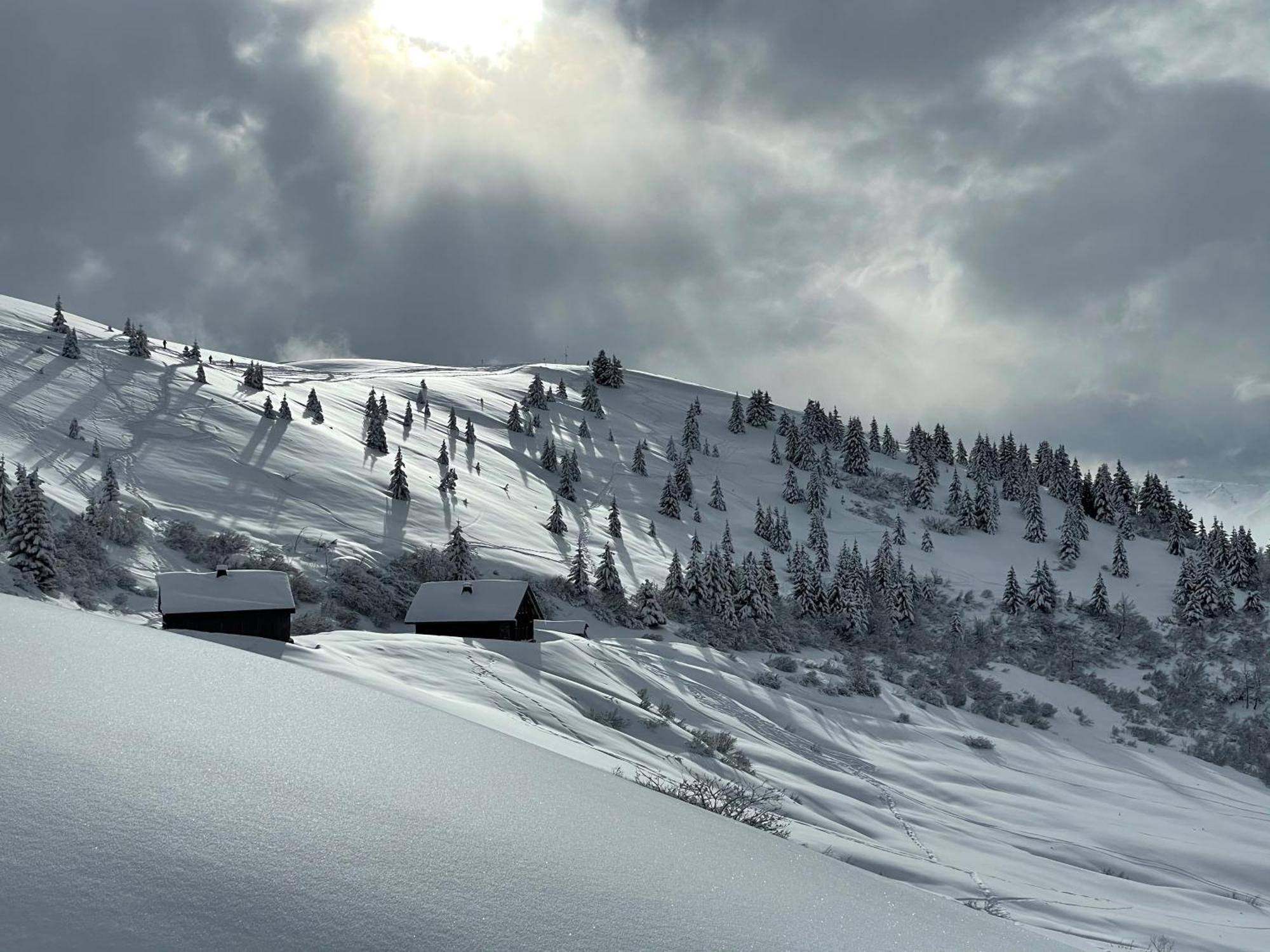 Chalet*** Au Pied D'Une Prairie Face A La Montagne Sixt Екстериор снимка